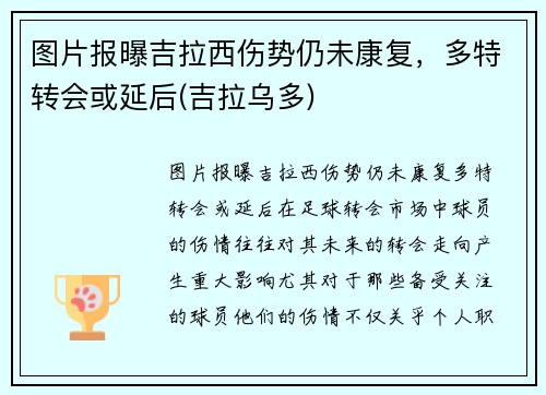 图片报曝吉拉西伤势仍未康复，多特转会或延后(吉拉乌多)